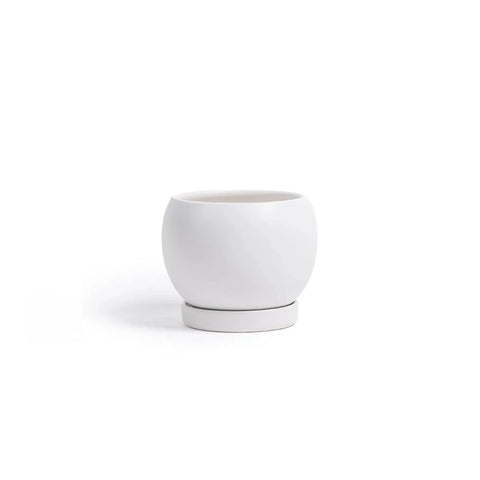 6" Gemstone Cylinder Planter + Saucer