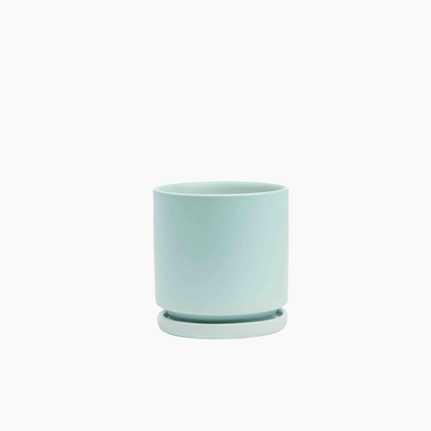 6.5" Gemstone Planter with Water Tray