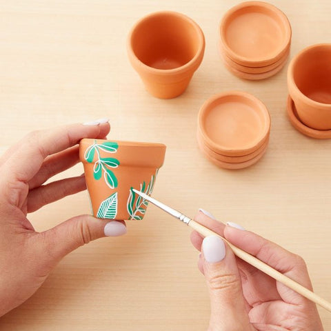 Paint, Plant &amp; Sip