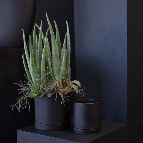 Matte Black Ceramic Planter