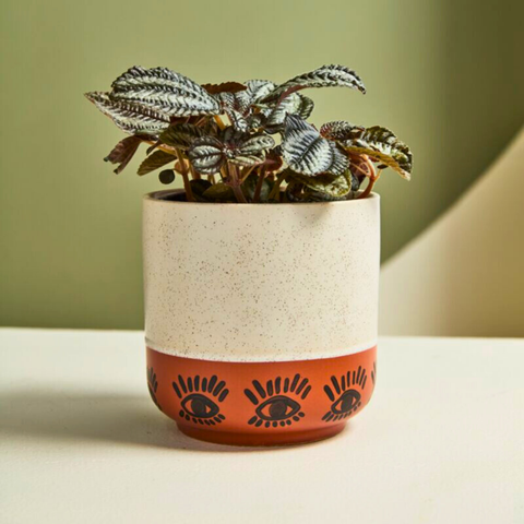 Boho Terracotta Eye Ceramic Planter