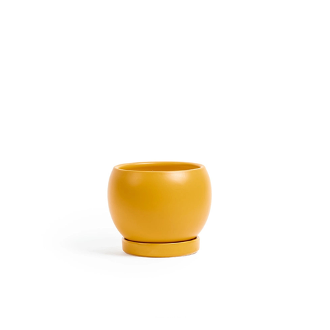 Bollé Pot with Saucer
