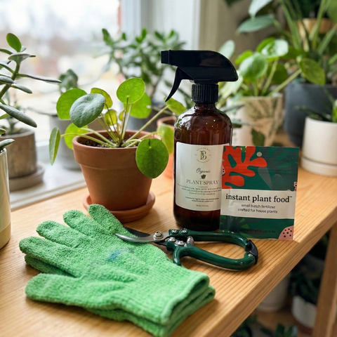 Houseplant Plant Care Kit