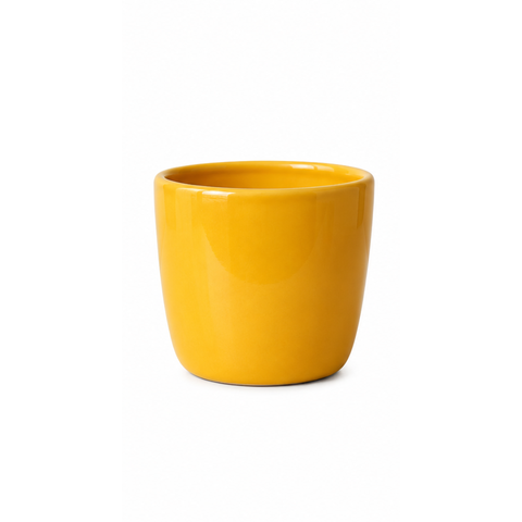 Ceramic Planter Pot
