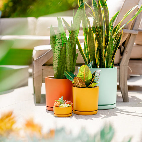 10.5" Gemstone Cylinder Pots with Water Saucers