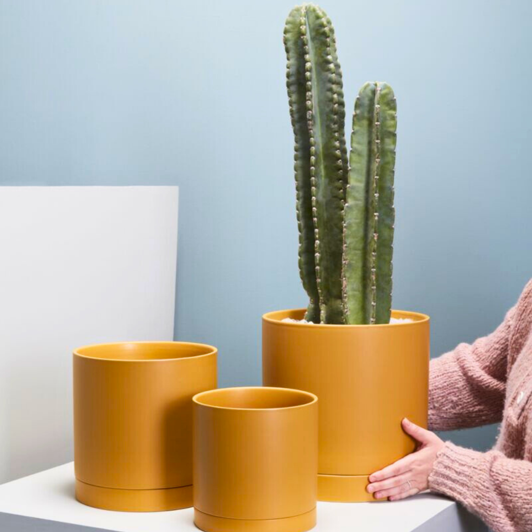 Mustard Yellow Ceramic Planter