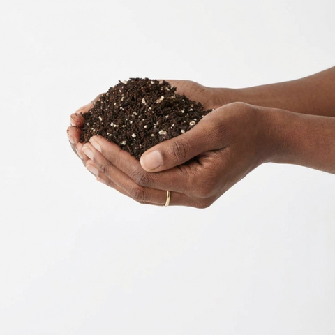 Organic Potting Mix for Houseplants