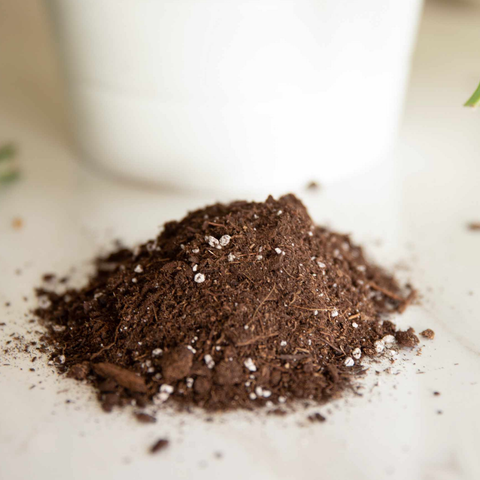 Organic Potting Mix for Houseplants