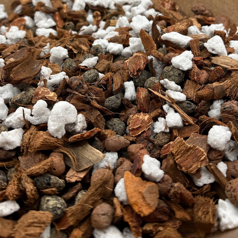 Organic Potting Mix for Houseplants