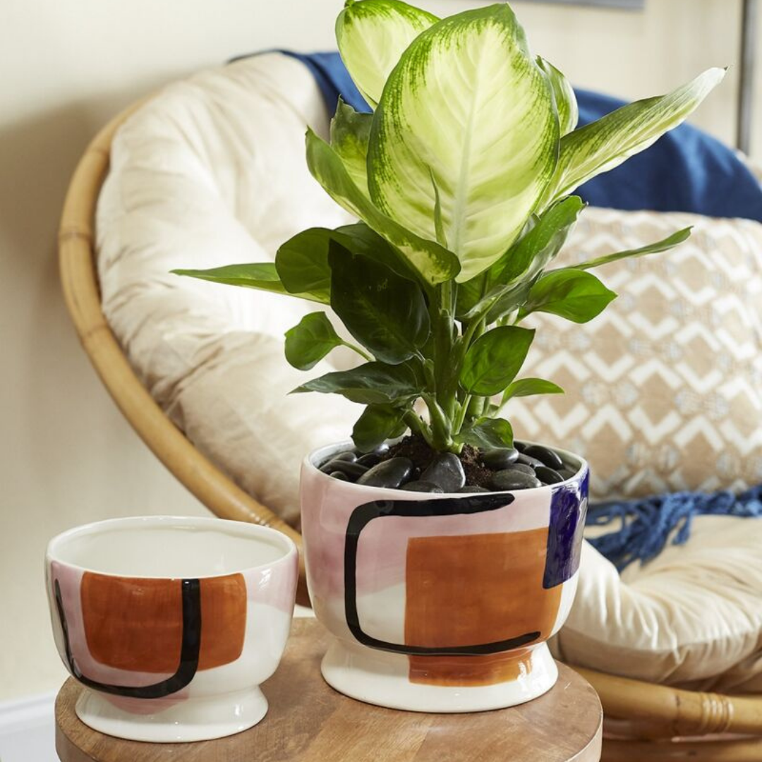 Retro Bowl Planter