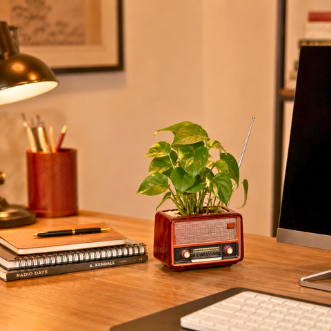 Retro Radio Shaped Planter