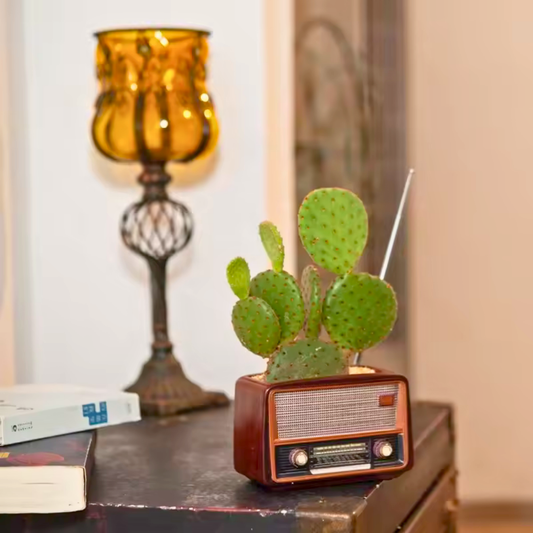 Retro Radio Shaped Planter