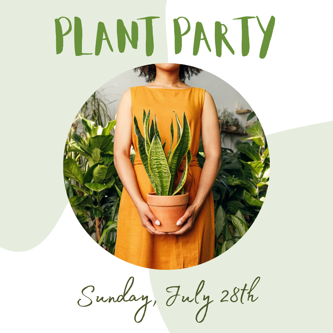 Summer Plant Party: Repotting & Plant Swap