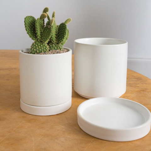 Classic White Ceramic Planter