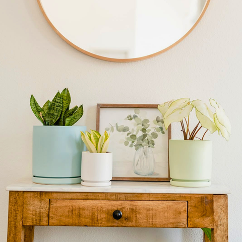 8" Gemstone Planter with Water Tray