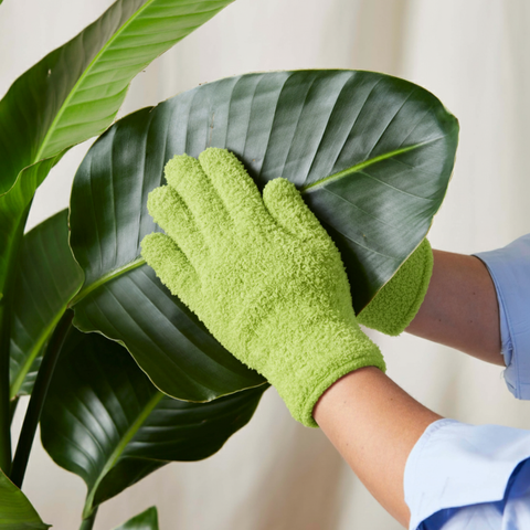 Microfiber Gloves