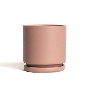 6" Gemstone Planter with Water Tray - The Botanical Bar