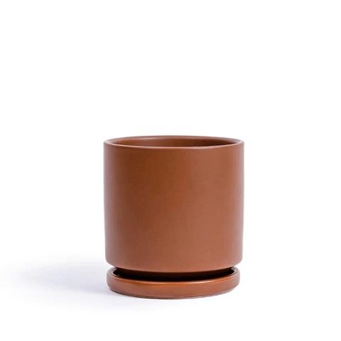 4" Gemstone Planter with Water Tray - The Botanical Bar