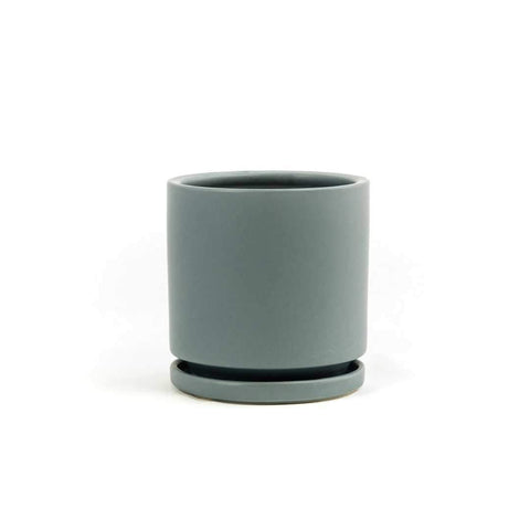 4" Gemstone Planter with Water Tray - The Botanical Bar