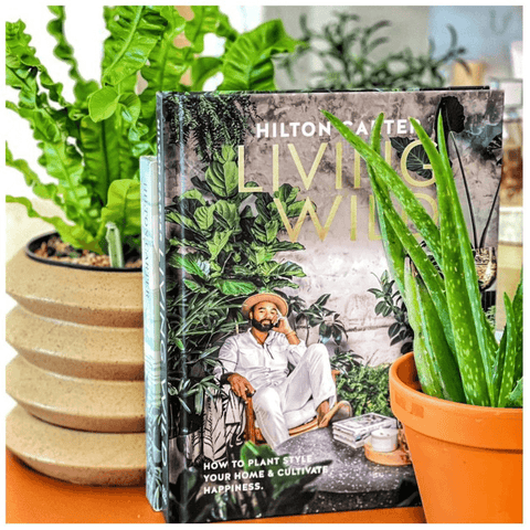 Living Wild by Hilton Carter: How to plant style your home and cultivate happiness