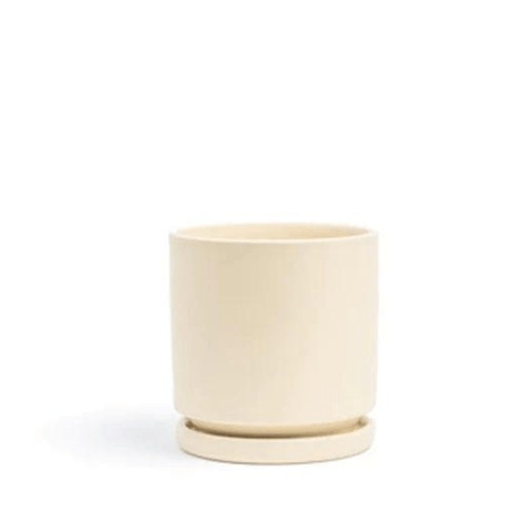 6" Gemstone Planter with Water Tray - The Botanical Bar