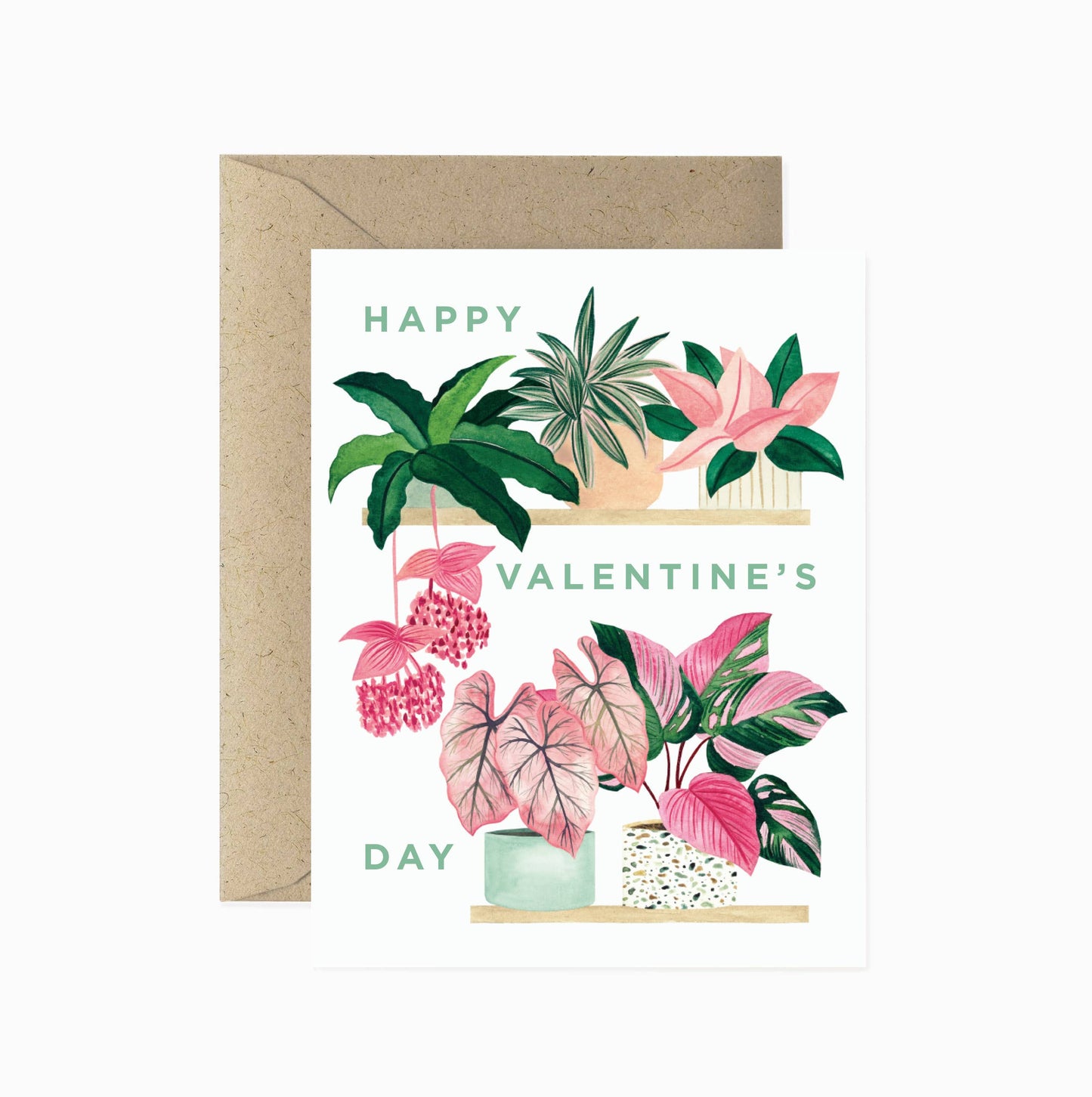 Valentine's Day Pink Plant Shelf Love & Valentine's Card