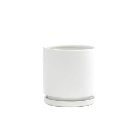 4" Gemstone Planter with Water Tray - The Botanical Bar