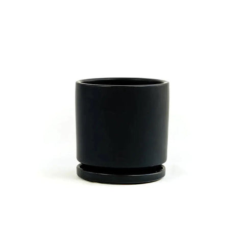 4" Gemstone Planter with Water Tray - The Botanical Bar