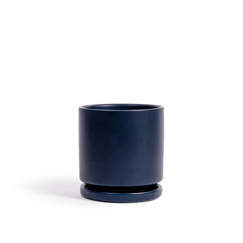 6" Gemstone Planter with Water Tray - The Botanical Bar