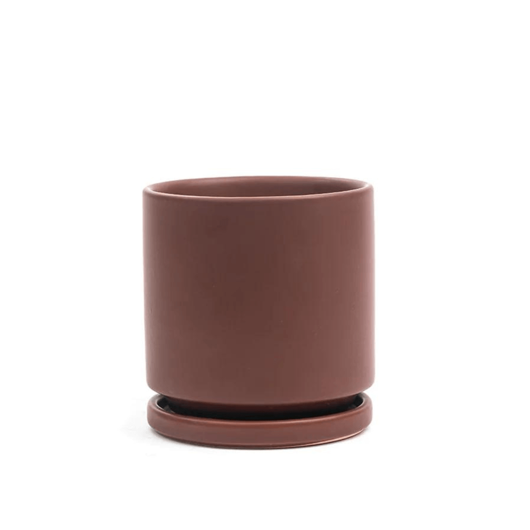 These 10" planters are made of food-grade, high-quality porcelain and include drainage holes with water trays for indoor.
