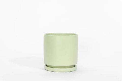 6" Gemstone Planter with Water Tray - The Botanical Bar